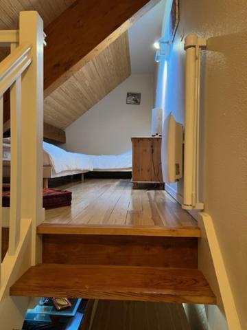 Appartement Style Chalet A Saint Lary Soulan. Bagian luar foto